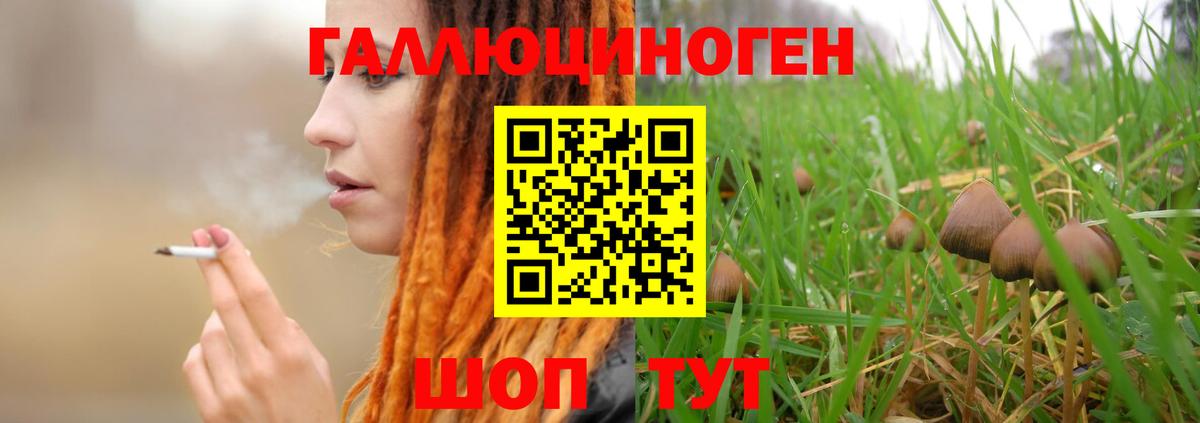 Псилоцибиновые грибы Psilocybine cubensis Нижнеудинск
